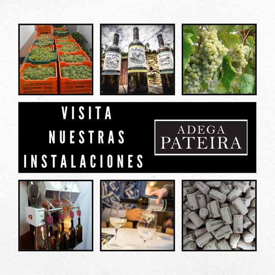 ADEGA PATEIRA VISITA INSTALACIONES